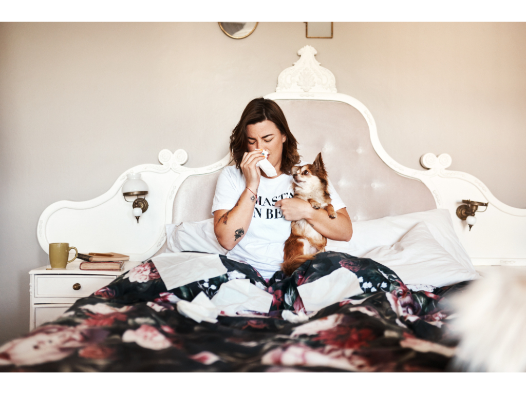 Mattress Allergy Can a Mattress Cause Allergies? Mattress Land